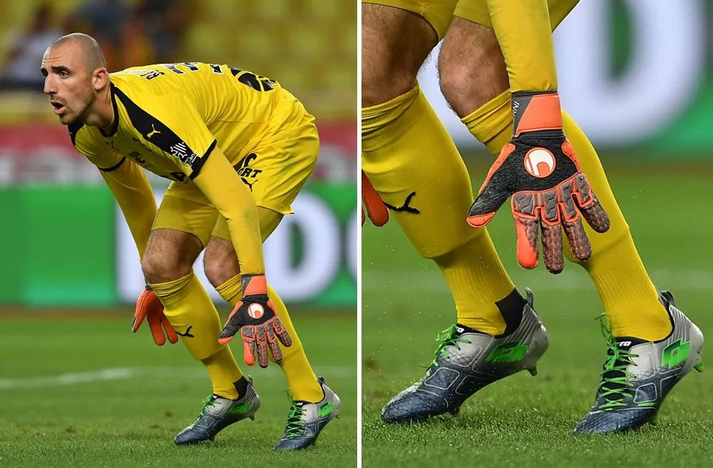 他们具备灵 他们具备灵