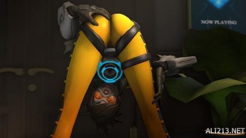 交流平台 交流平台