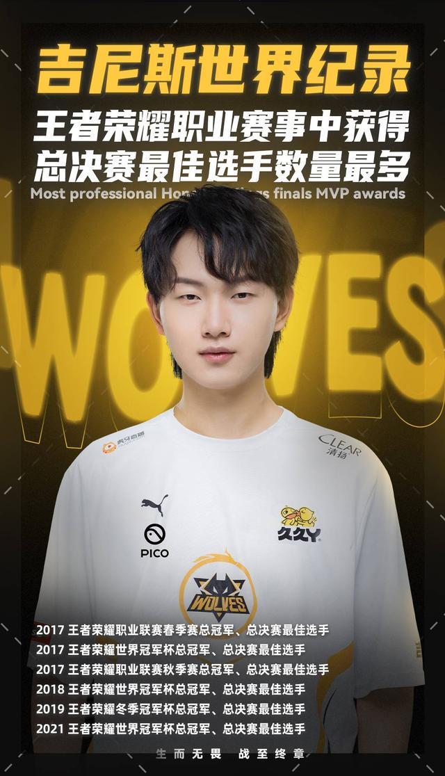情绪性追注